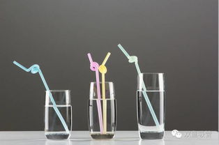 義烏文化用品協(xié)會參訪雙童 與樓仲平深度探討企業(yè)品牌建設與工藝品推廣傳播