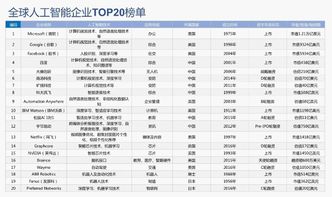 中科院《2019人工智能發(fā)展白皮書(shū)》發(fā)布 谷歌微軟引領(lǐng)AI爆發(fā)，應(yīng)用軟件開(kāi)發(fā)迎來(lái)黃金時(shí)代